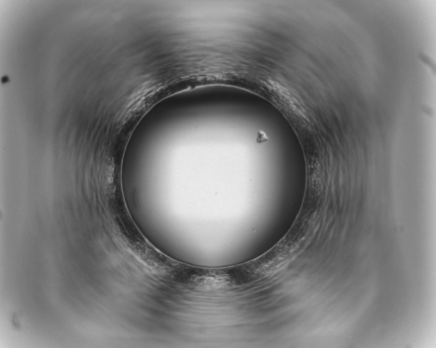 X0000095520548200712281502