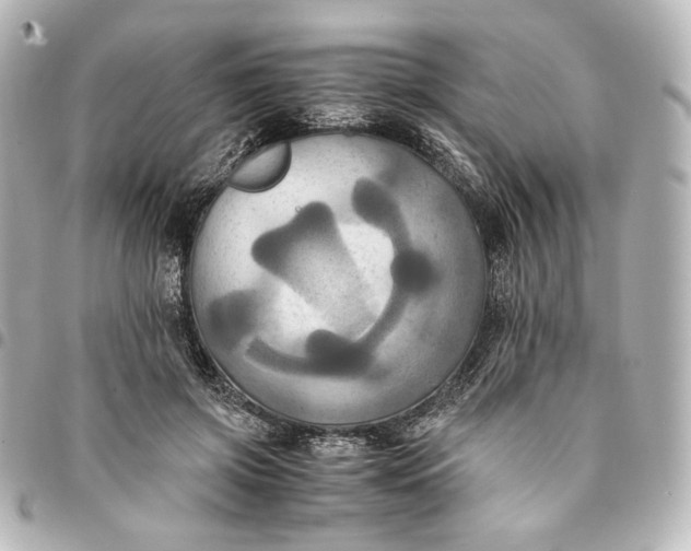 X0000095520549200712281502