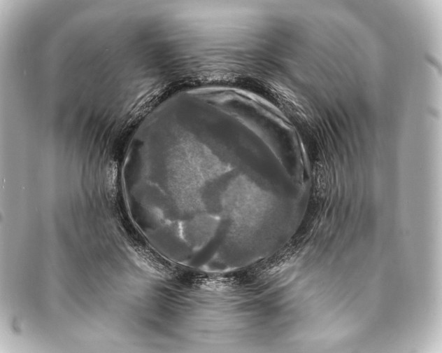 X0000095520550200712281502