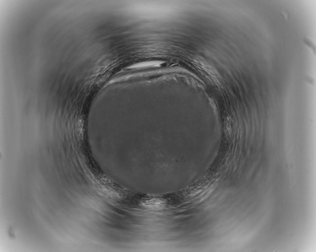 X0000095520551200712281502