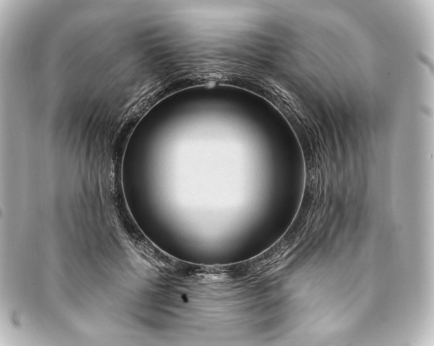 X0000095520552200712281502