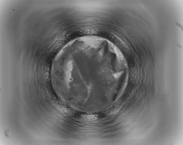 X0000095520553200712281502