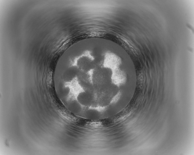 X0000095520554200712281502