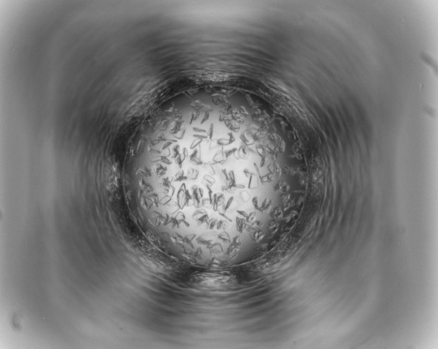 X0000095520555200712281502