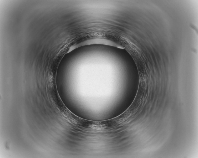 X0000095520556200712281502