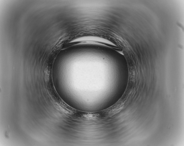 X0000095520558200712281502