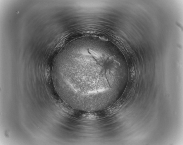 X0000095520559200712281502