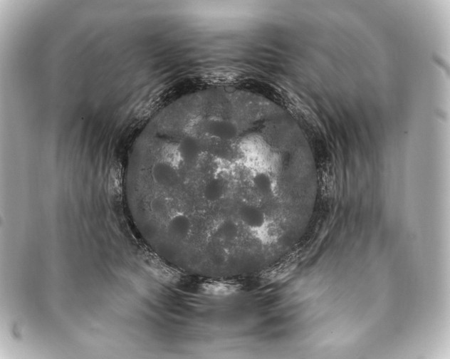 X0000095520561200712281502