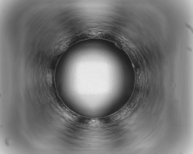 X0000095520562200712281502