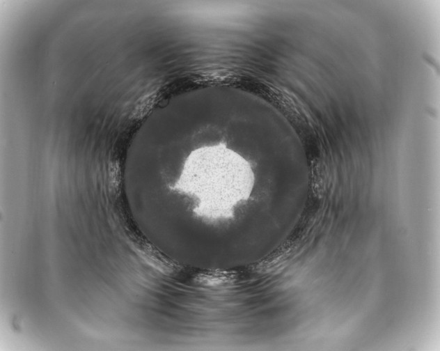 X0000095520563200712281502