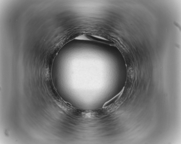 X0000095520564200712281502