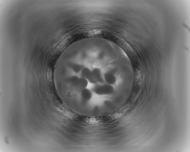 X0000095520565200712281502