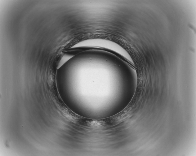 X0000095520566200712281502