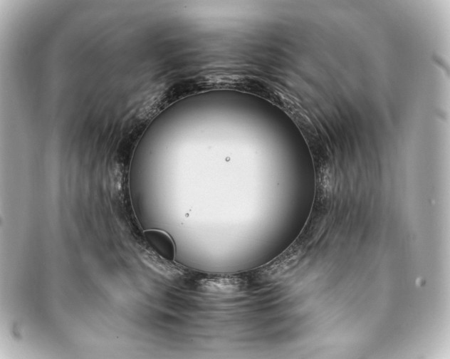 X0000095520567200712281502