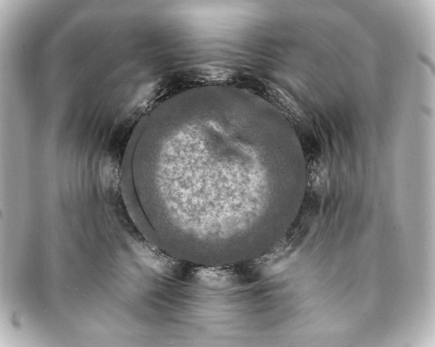 X0000095520568200712281502