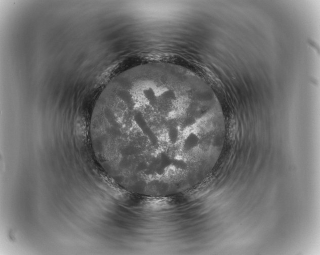 X0000095520569200712281502