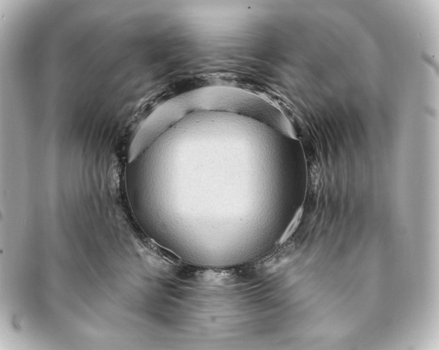 X0000095520570200712281502