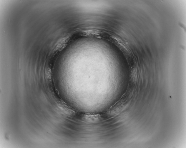 X0000095520571200712281502