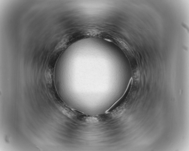 X0000095520572200712281502