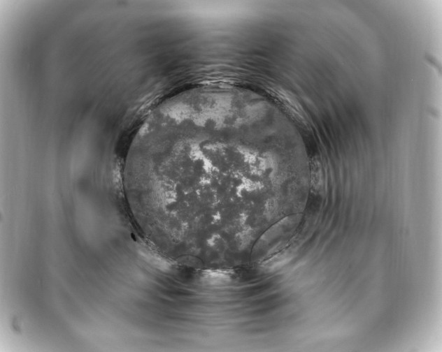 X0000095520573200712281502