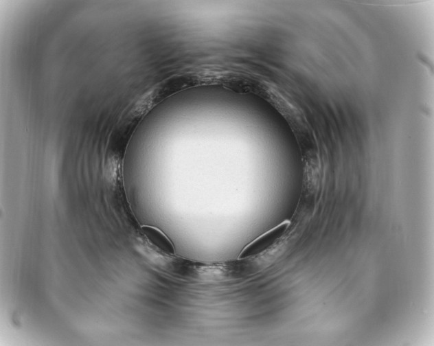 X0000095520574200712281502