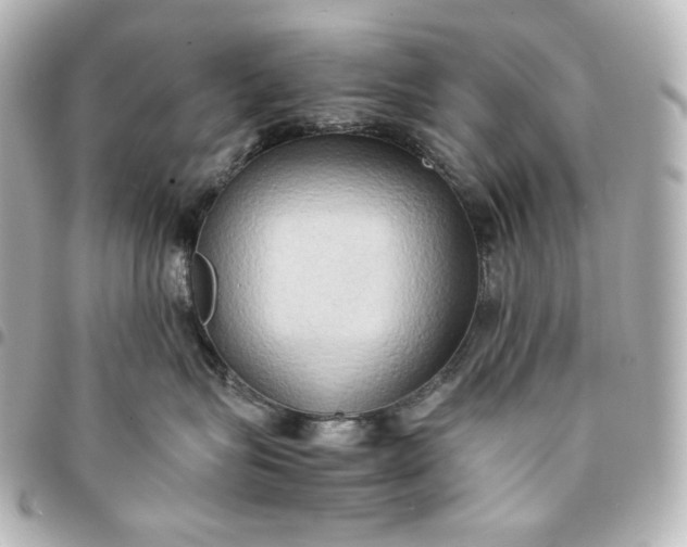 X0000095520575200712281502