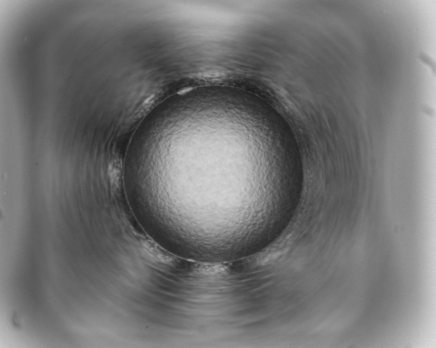 X0000095520576200712281502