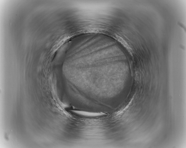 X0000095520577200712281502