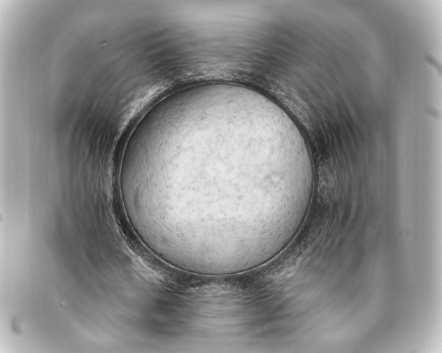 X0000095520578200712281502