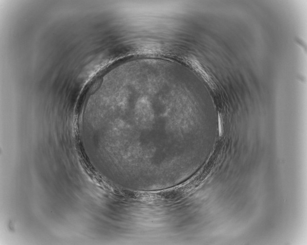 X0000095520579200712281502