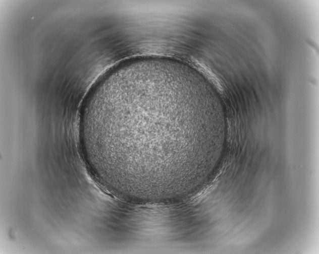 X0000095520580200712281502