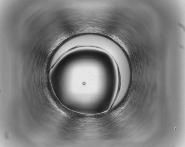 X0000095520581200712281502