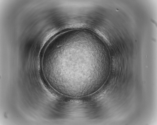 X0000095520582200712281502