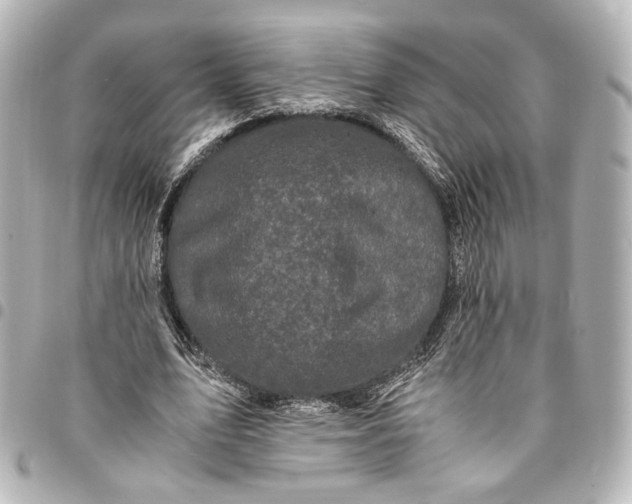 X0000095520583200712281502