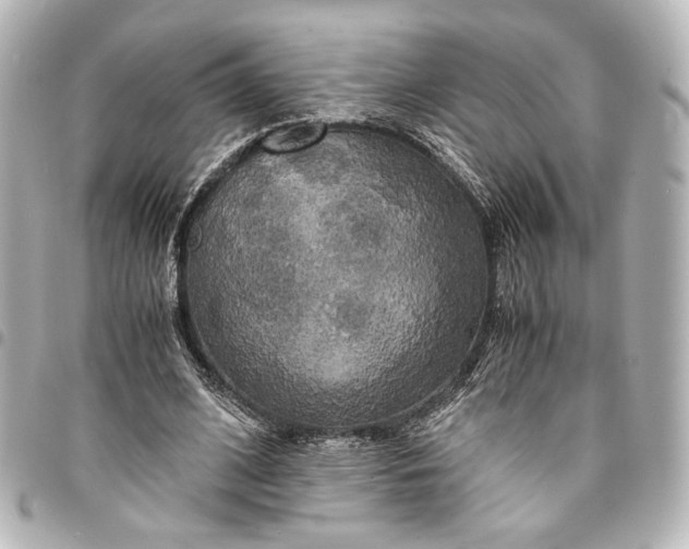 X0000095520584200712281502