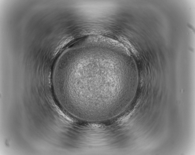 X0000095520585200712281502