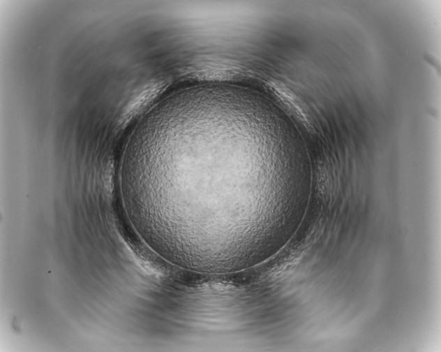 X0000095520586200712281502