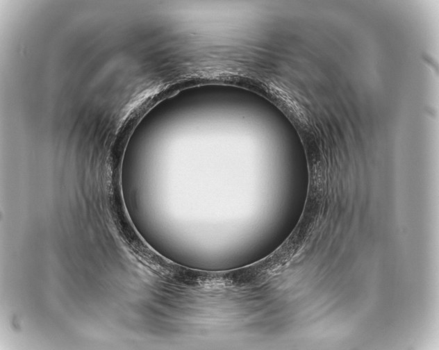 X0000095520587200712281502