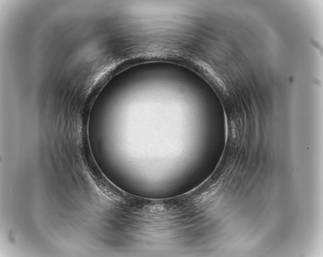 X0000095520588200712281502