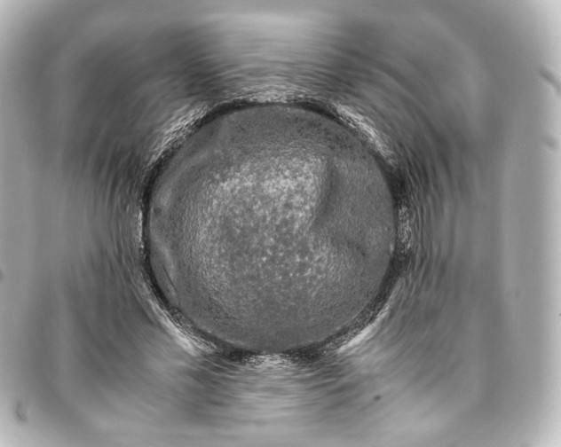 X0000095520589200712281502