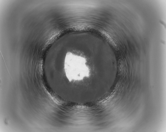 X0000095520590200712281502