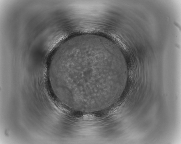 X0000095520591200712281502