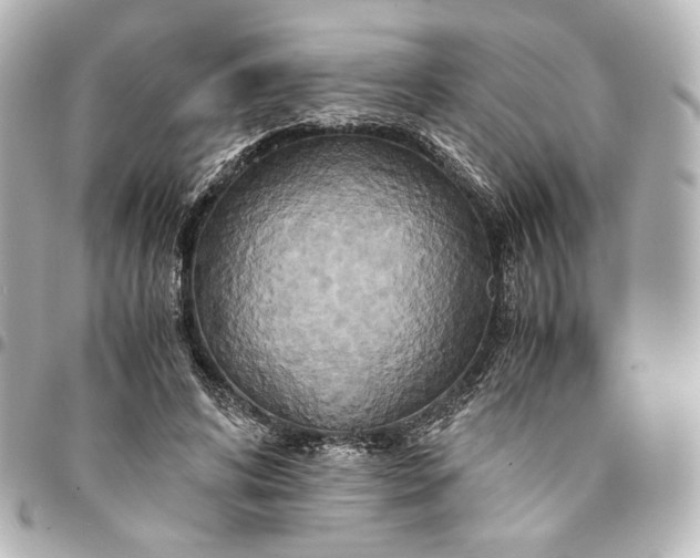 X0000095520592200712281502