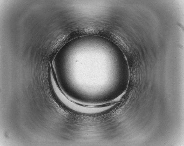 X0000095520593200712281502