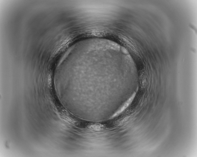 X0000095520595200712281502