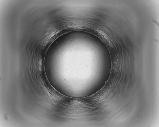 X0000095520596200712281502