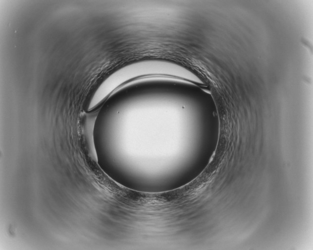 X0000095520597200712281501