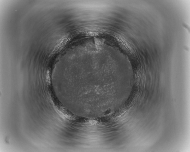 X0000095520598200712281501