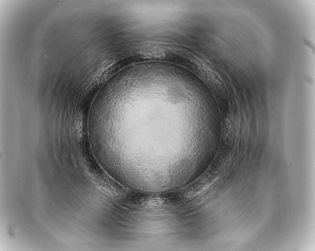 X0000095520600200712281501