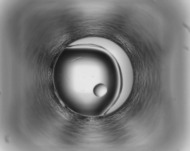 X0000095520601200712281501